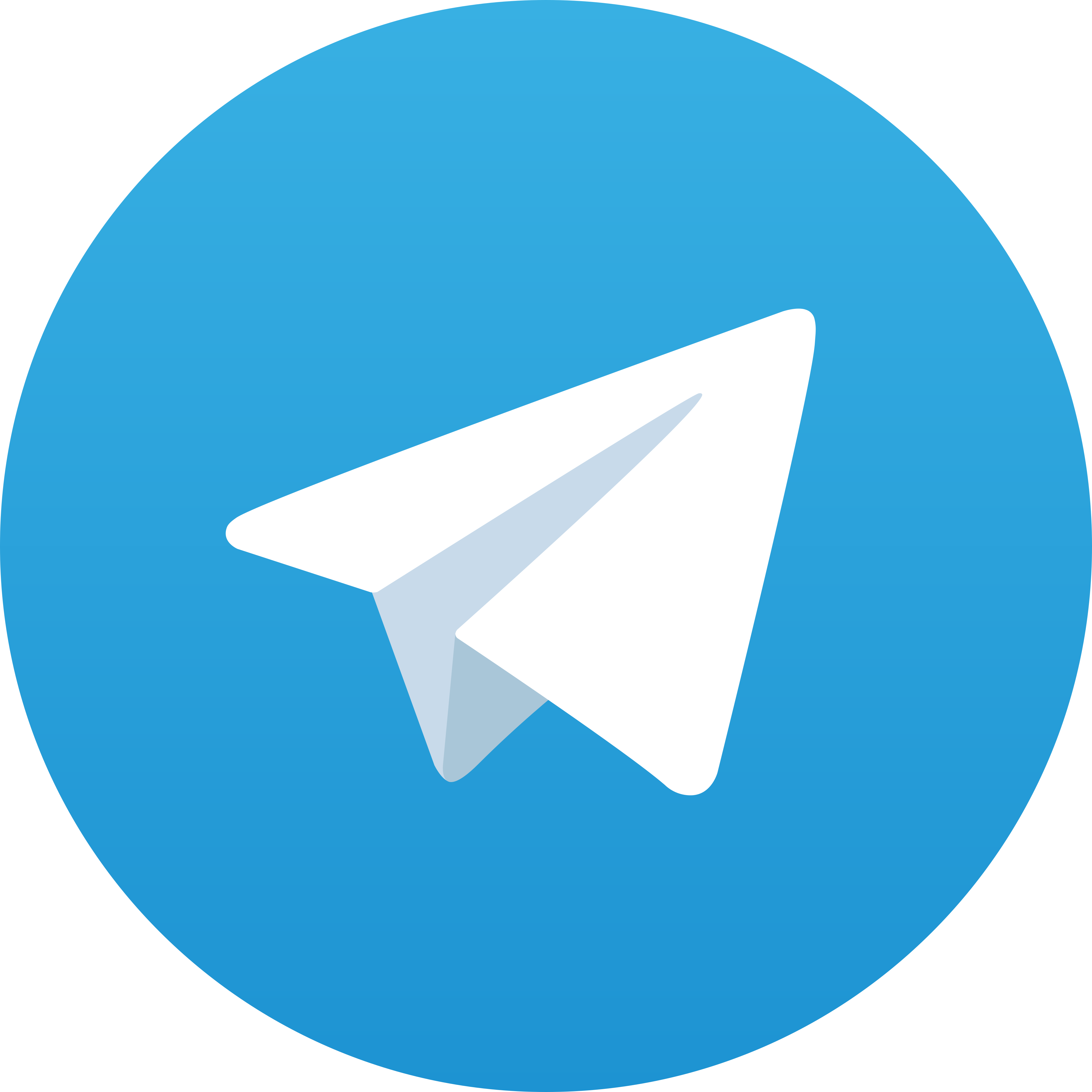 Telegram SUSU288